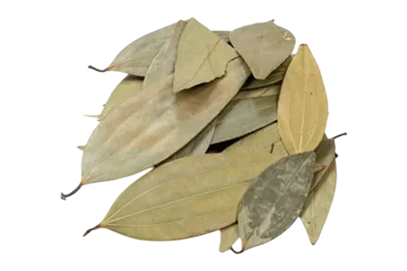 BayLeaves