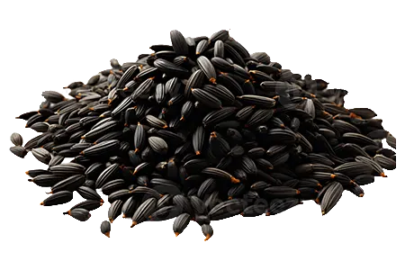 Black Cumin 2