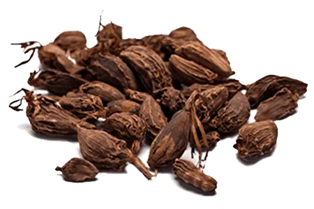 Cardamom Large