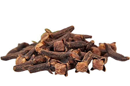 Clove