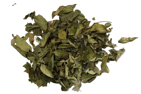 Curry Leaves