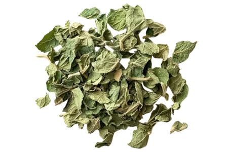 Dry Mint Leaves