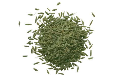 Fennel Seed
