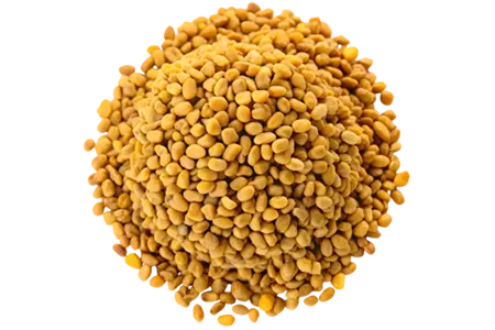 Fenugreek Seeds