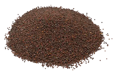 Mustard Seeds Black