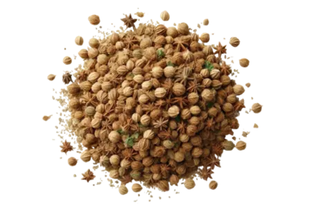 coriander cracked